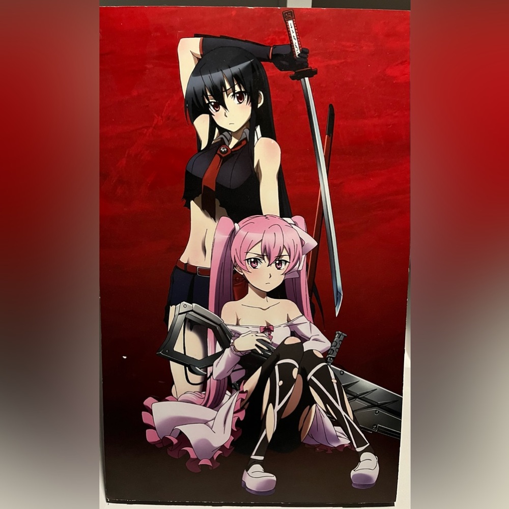 Akame ga kill stand